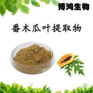 木瓜葉提取物植物提取物