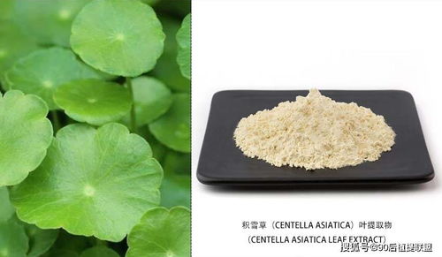 2020 最新植物提取物 化妝品原料 前沿?zé)狳c(diǎn)點(diǎn)評