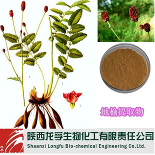 植物提取物-專(zhuān)業(yè)廠家現(xiàn)貨直銷(xiāo) 優(yōu)質(zhì) 純天然 地榆提取物 地榆皂甙-植物提取物盡在.