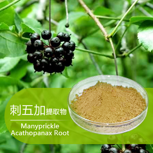 遼寧14902-16-8 長(zhǎng)春刺五加甙植物提取物成分用途
