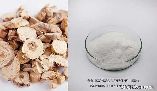 2020 最新植物提取物 化妝品原料 前沿熱點點評