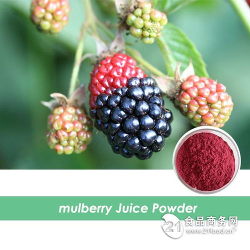 西安旭煌生物 工廠直銷高品質(zhì)桑葚粉，批發(fā)價(jià)格優(yōu)勢顯著